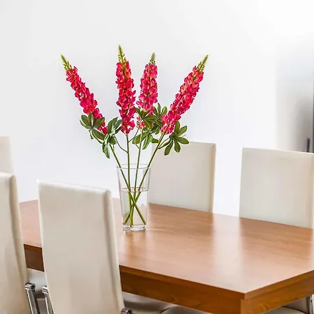 White Moonflower Villa Peyia